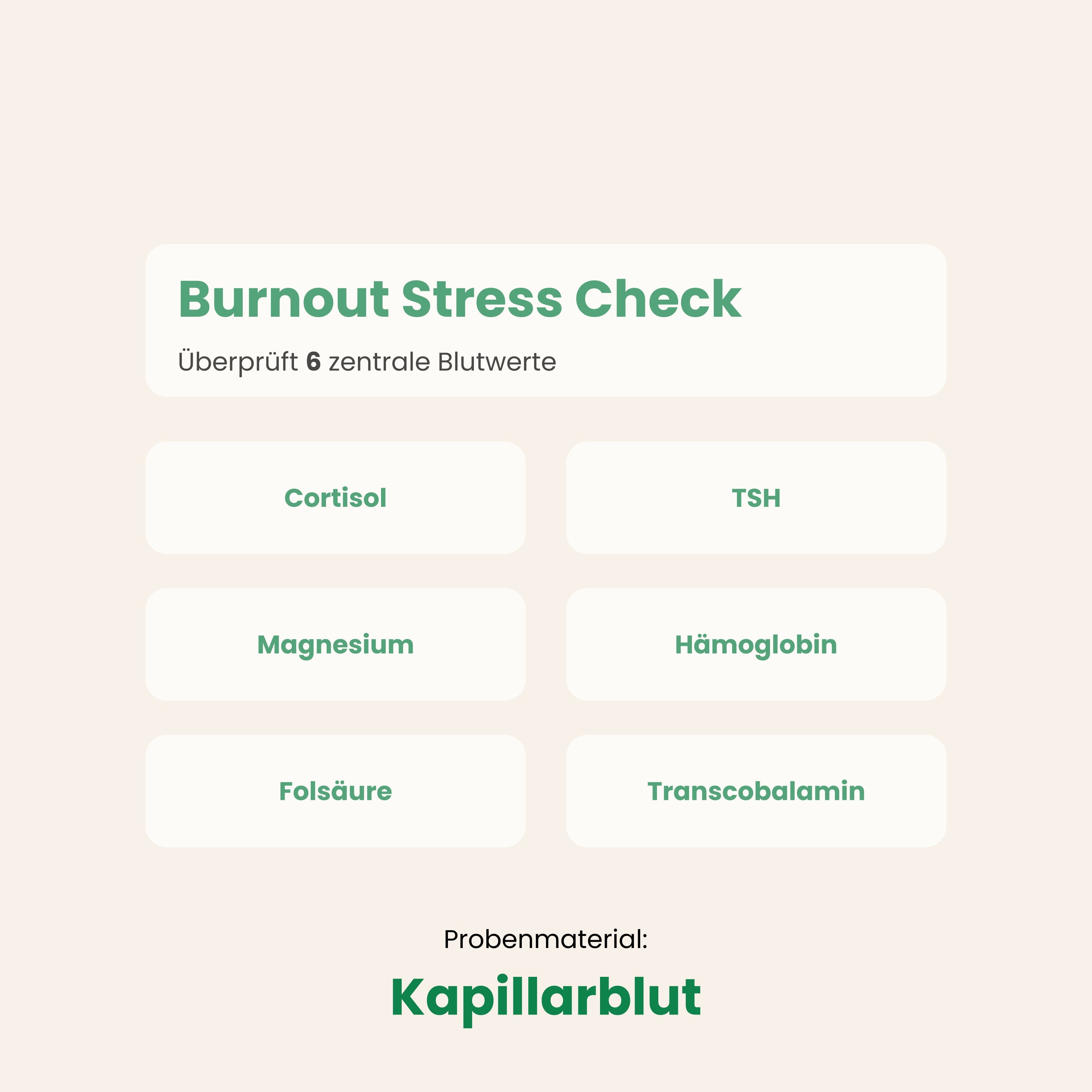 Burnout Stress Check