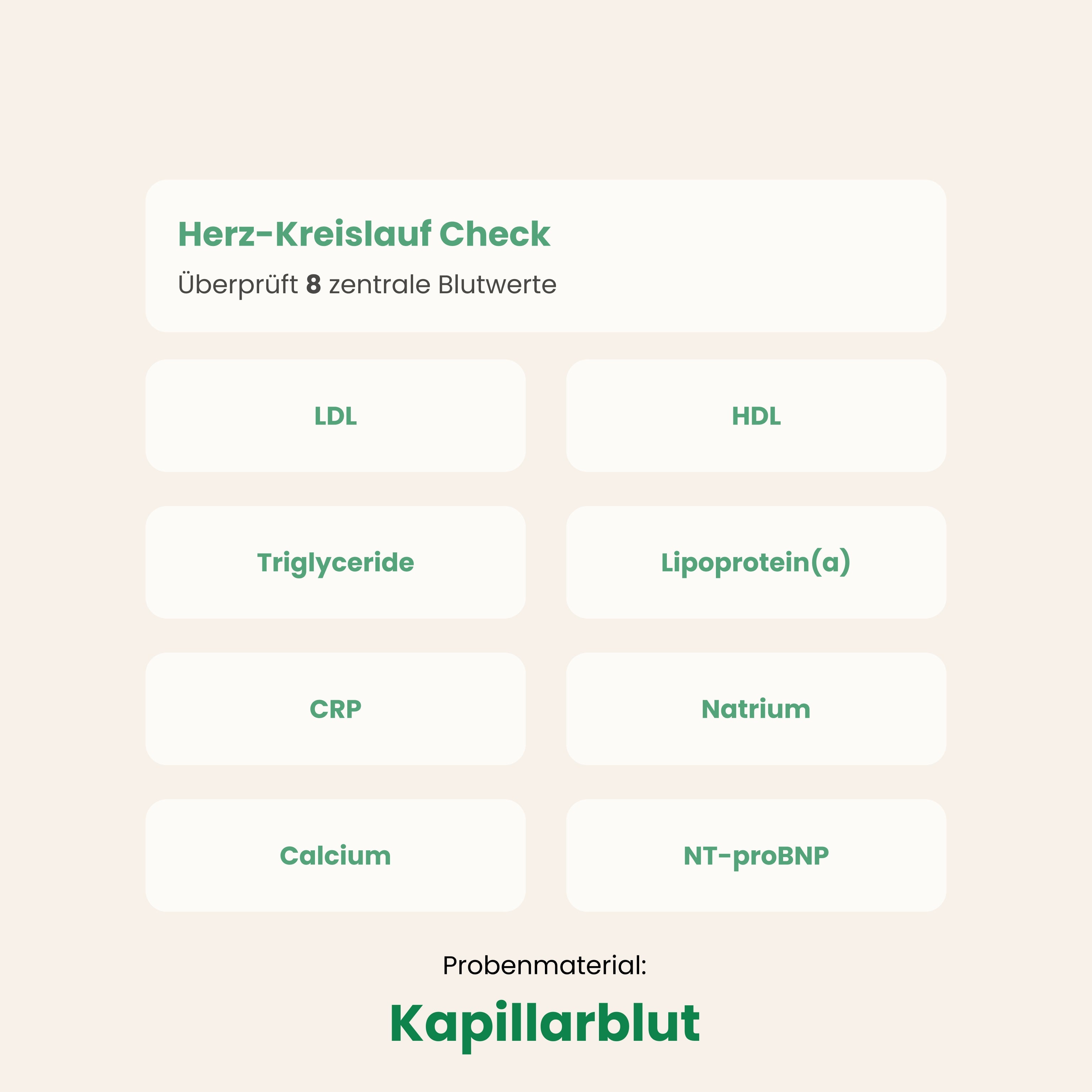 Herz-Kreislauf Check